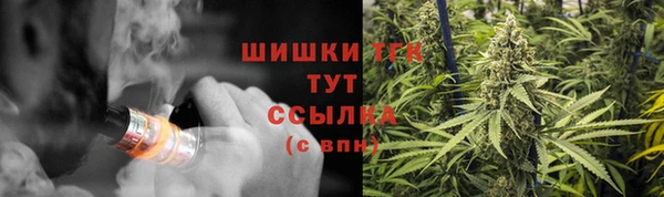 спайс Нея