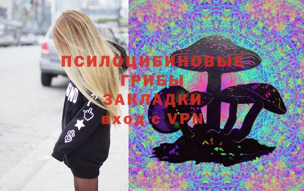 спайс Нея