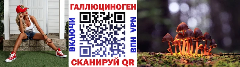 как найти наркотики  Сертолово  Галлюциногенные грибы Psilocybine cubensis 