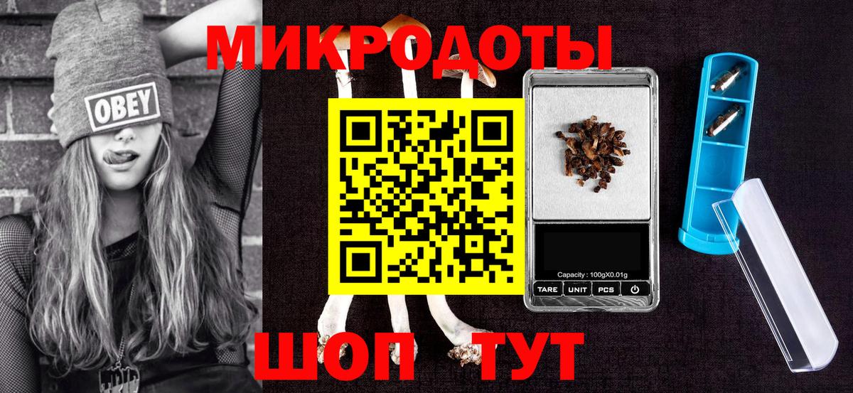 Псилоцибиновые грибы Psilocybine cubensis  Вход с VPN  Сертолово 