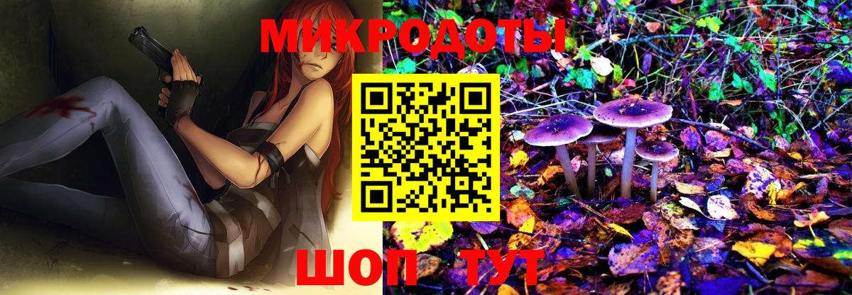 Псилоцибиновые грибы Psilocybine cubensis Сертолово